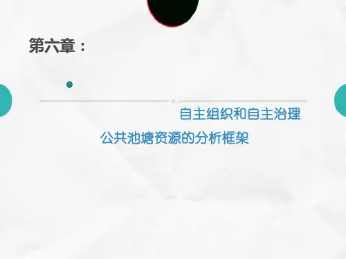 某公共事务治理之道讲义