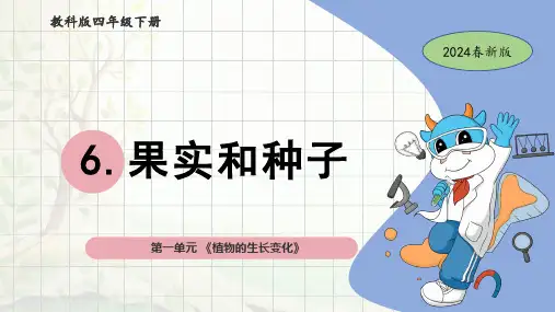教科版四年级科学下册第一单元《植物的生长变化》6果实和种子PPT课件