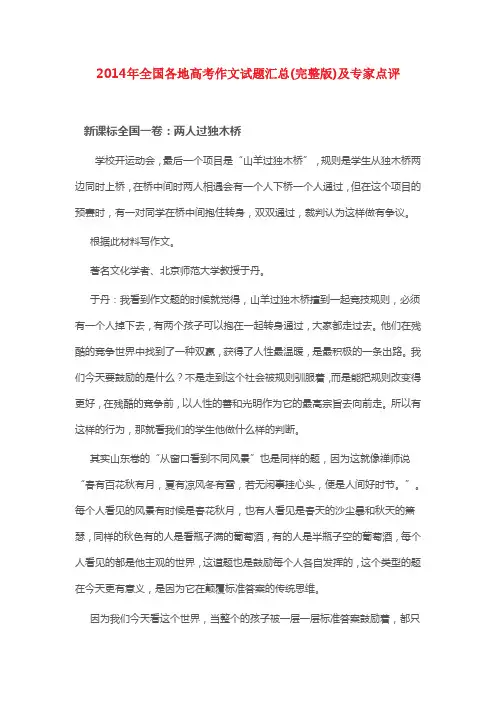 名家点评2014年全国各地高考作文