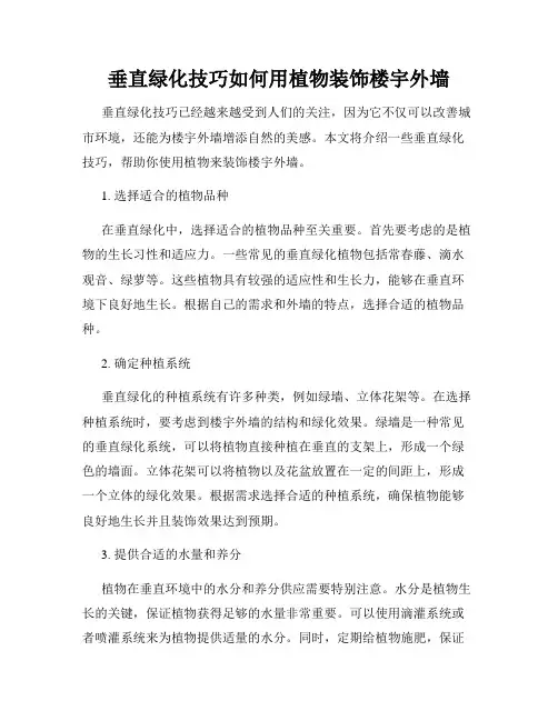 垂直绿化技巧如何用植物装饰楼宇外墙