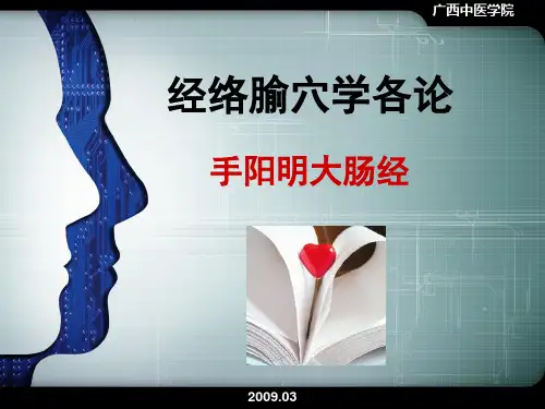手阳明经络与腧穴