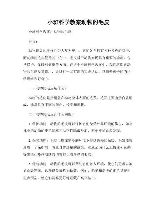 小班科学教案动物的毛皮