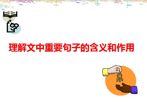 理解文中重要句子的含义和作用课件