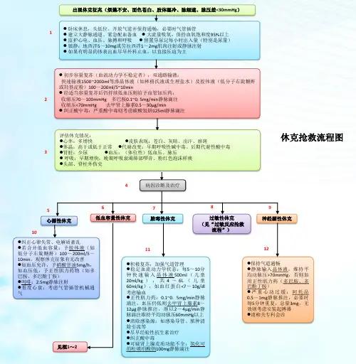 休克抢救流程图