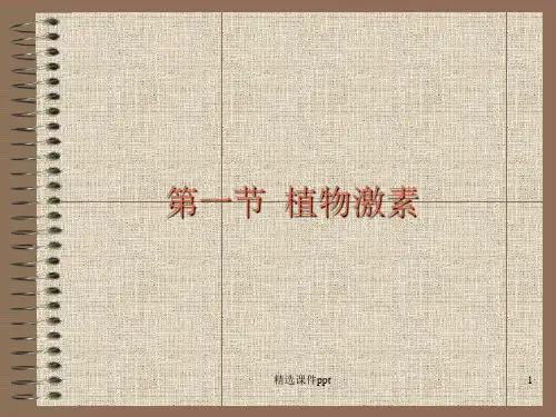 《植物激素》PPT课件