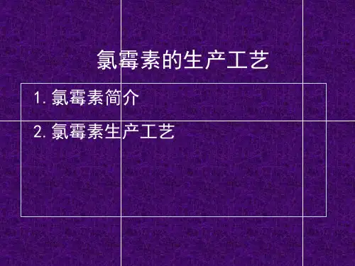 氯霉素的生产工艺课件(PPT36张)