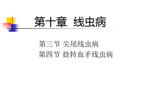 (10)第二篇 各论 第十章线虫病(马尖尾、兔栓尾、异刺、捻转血矛线虫病)
