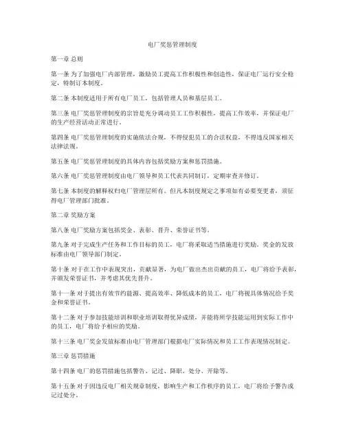 电厂奖惩管理制度