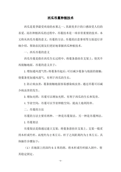 西瓜吊蔓种植技术