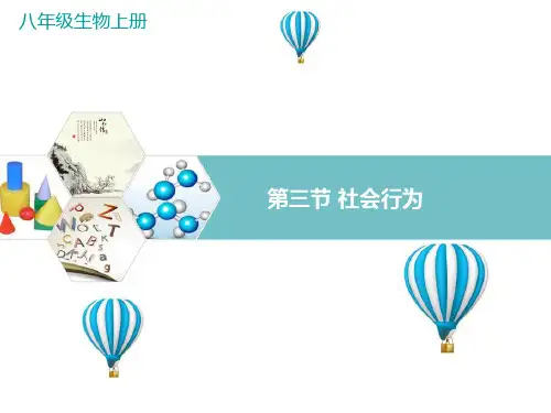 新人教版八年级生物上册第三节社会行为课件