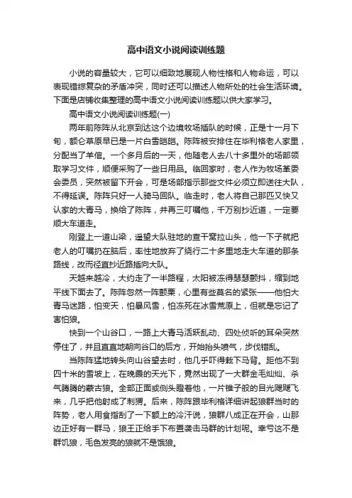 高中语文小说阅读训练题