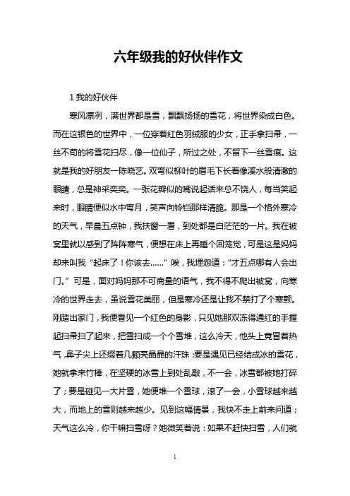 六年级我的好伙伴作文