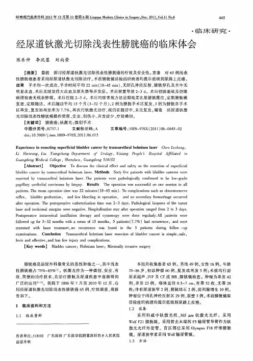 经尿道钬激光切除浅表性膀胱癌的临床体会