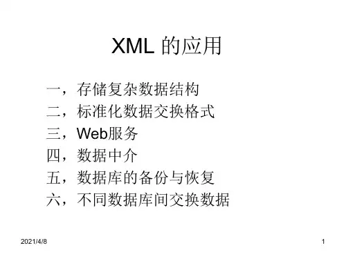 XML的应用PPT课件