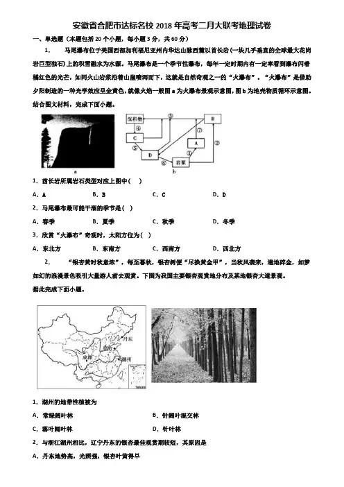 安徽省合肥市达标名校2018年高考二月大联考地理试卷含解析
