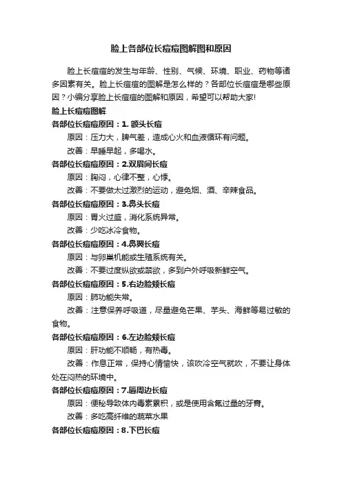 脸上各部位长痘痘图解图和原因