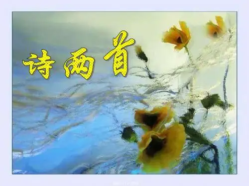 诗两首《金色花》《荷叶母亲》