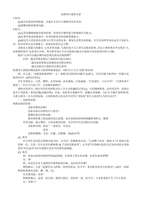 皮肤结构 - 小图