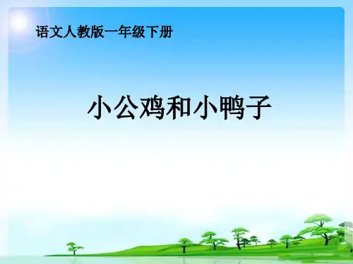 5《小公鸡和小鸭子》课件(共31张PPT)