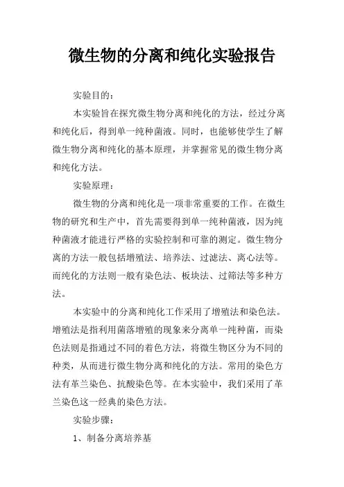 微生物的分离和纯化实验报告