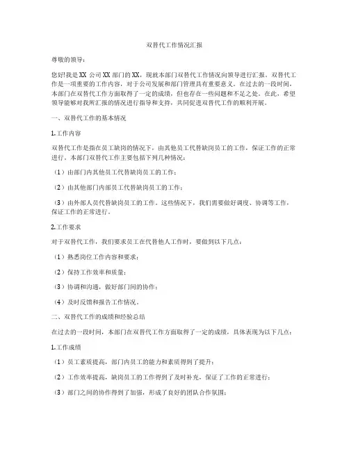 双替代工作情况汇报
