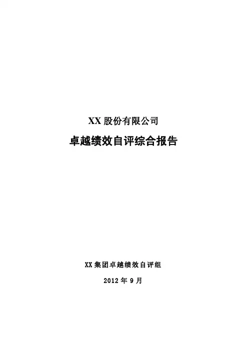 XX公司卓越绩效自评综合报告