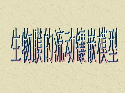 生物高中必修1第四章第二节课件4