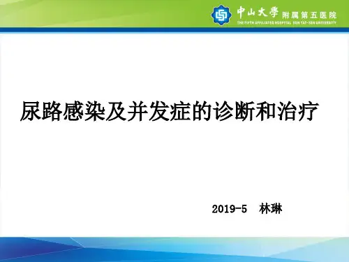 尿路感染的诊断和鉴别诊断