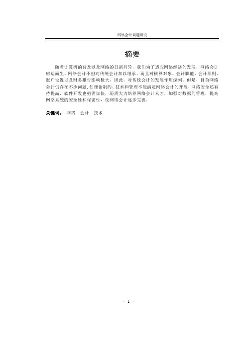 网络会计问题研究