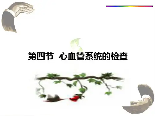 医学-心血管系统检查