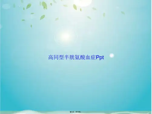 高同型半胱氨酸血症Ppt(共14张PPT)