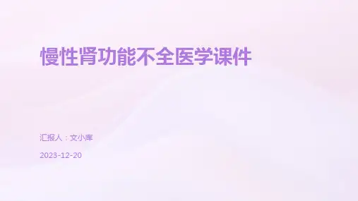 慢性肾功能不全医学课件