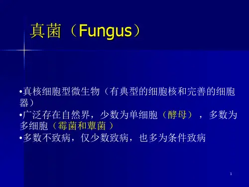 真菌概述_精品文档