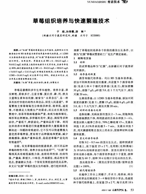 草莓组织培养与快速繁殖技术