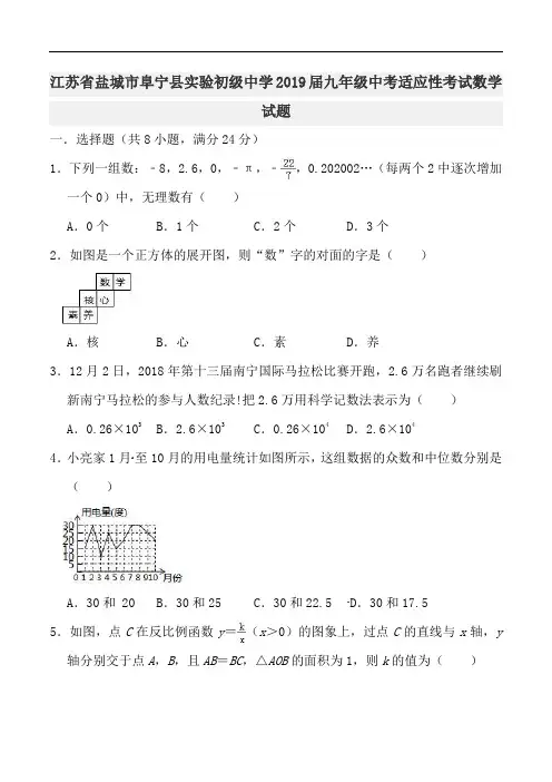 江苏省盐城市阜宁县实验初级中学2019届九年级中考适应性考试数学试题(一)(有解析)