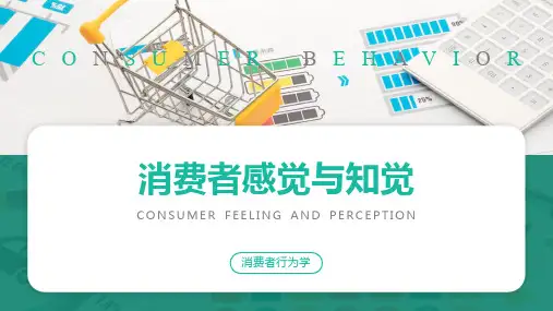 《消费者行为学》课件——消费者感觉与知觉