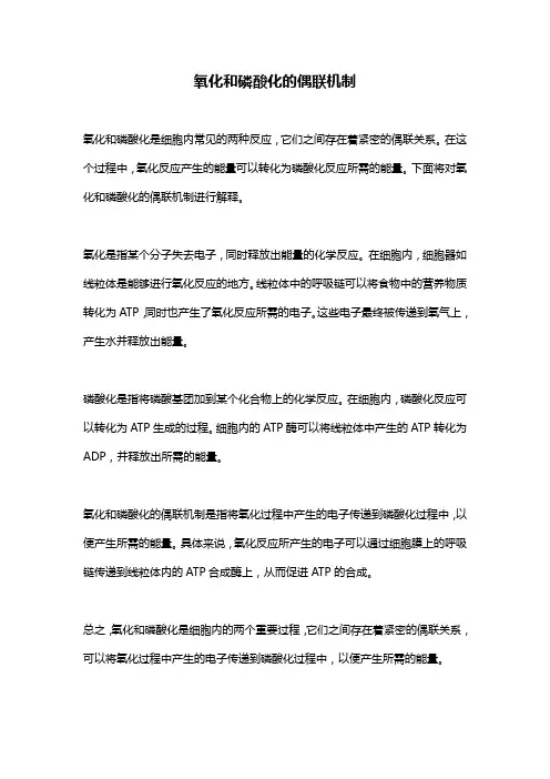 氧化和磷酸化的偶联机制