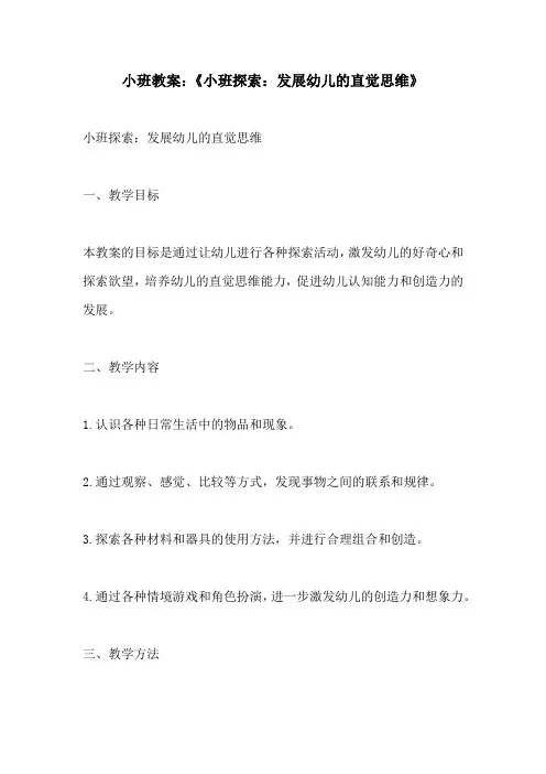 小班教案小班探索发展幼儿的直觉思维