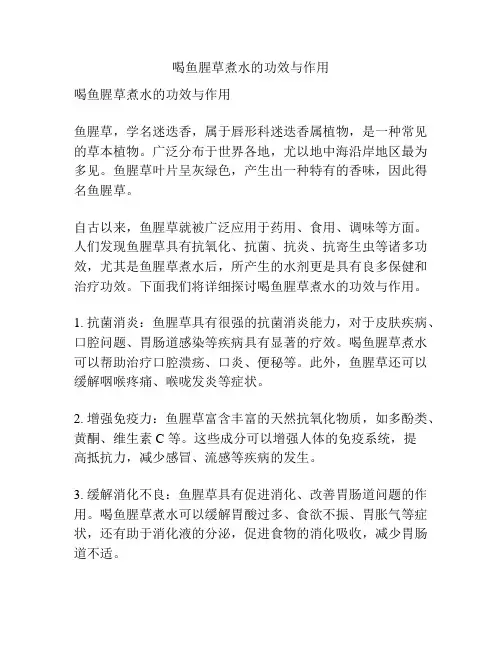 喝鱼腥草煮水的功效与作用