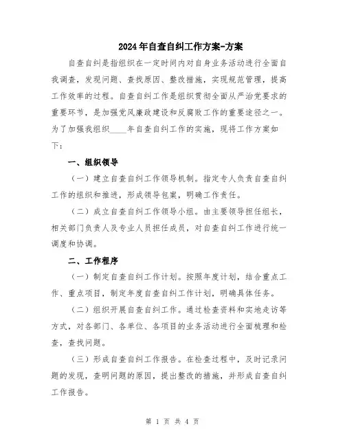 2024年自查自纠工作方案-方案