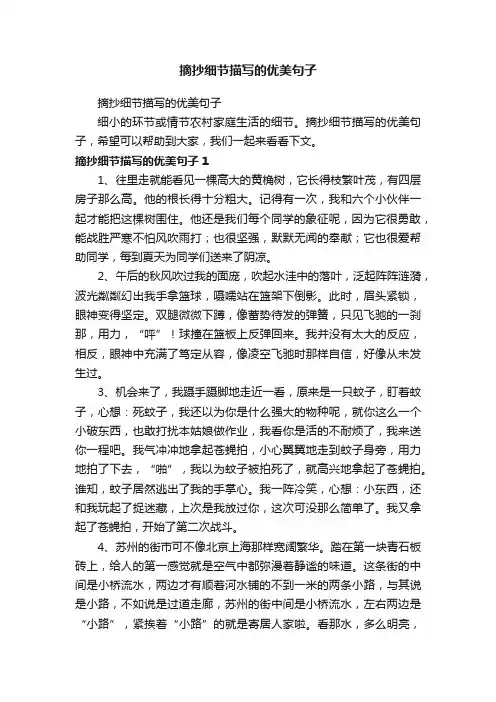摘抄细节描写的优美句子