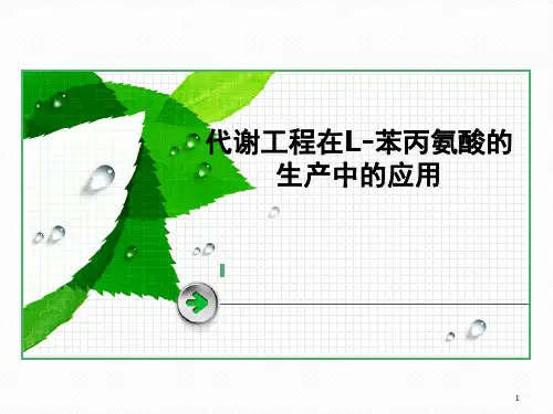 L-苯丙氨酸的生产(课堂PPT)
