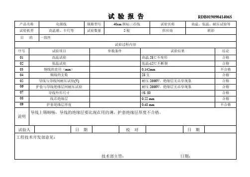 电源线检验报告