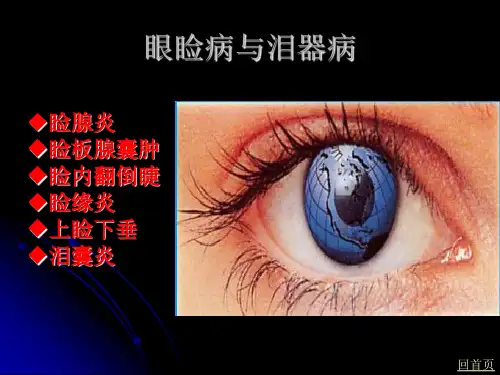 眼睑病与泪器病ppt课件