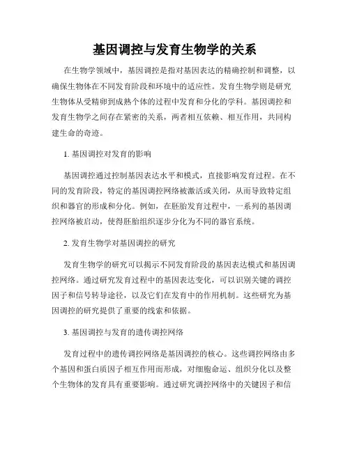 基因调控与发育生物学的关系