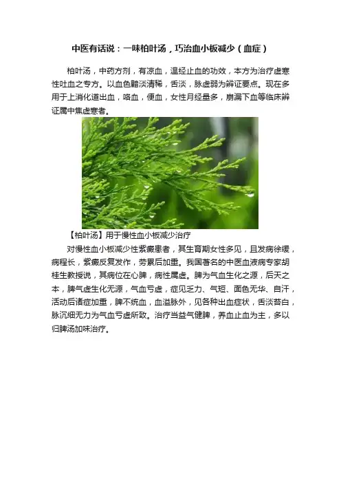 中医有话说：一味柏叶汤，巧治血小板减少（血症）