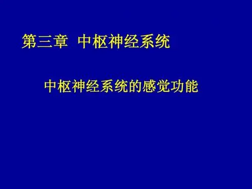 第三章 中枢神经系统的功能