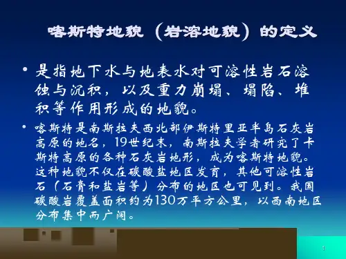自然地理学三45节岩溶冰川冻土地貌