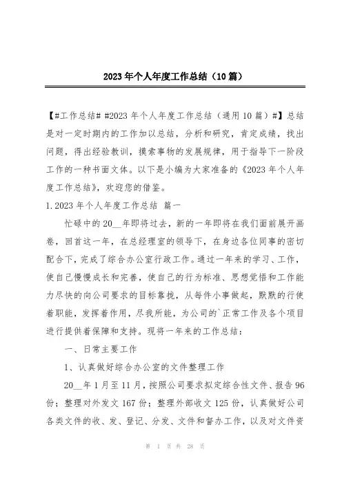2023年个人年度工作总结(10篇)