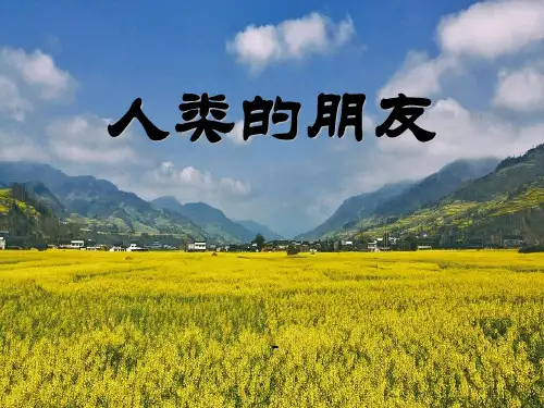 202X秋冀教版语文五上《人类的朋友》ppt课件